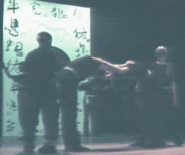 Next Picture Loading